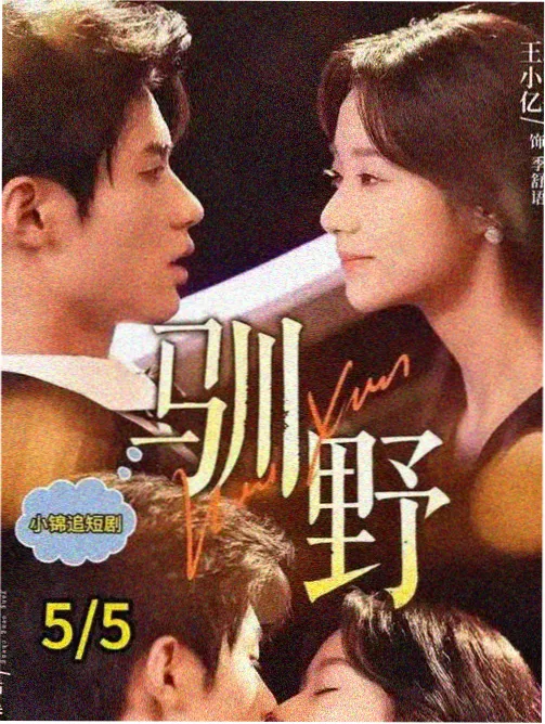 生活流家庭剧周六的行李箱剧照